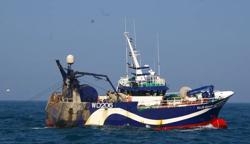 ELLIE ADHAMH General Cargo IMO 9299238 photo 8