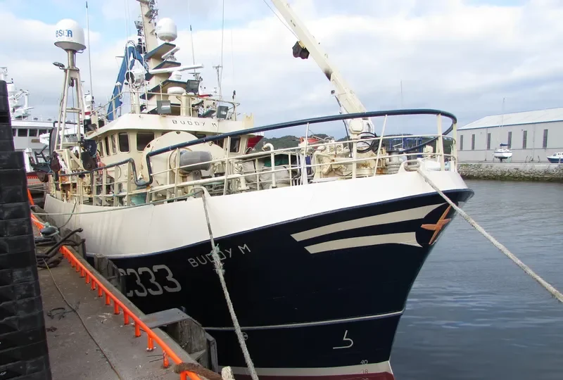 BUDDY M General Cargo IMO 9299240 photo 2