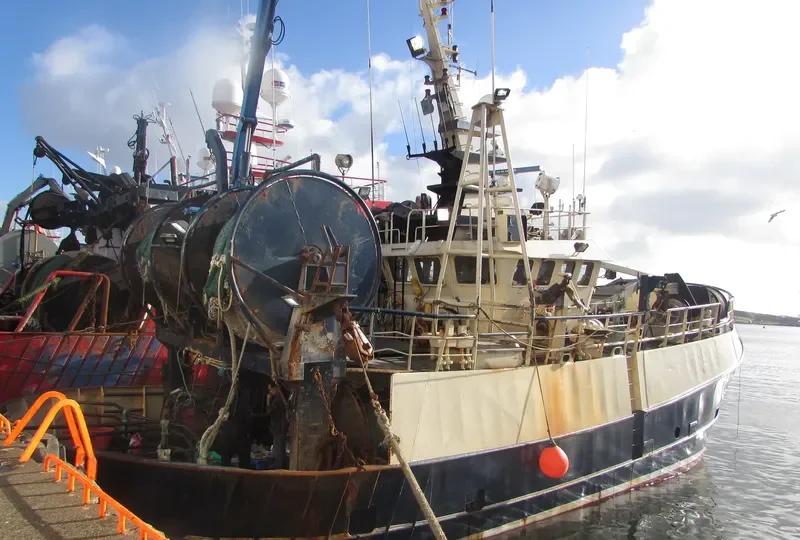 BUDDY M General Cargo IMO 9299240 photo 4