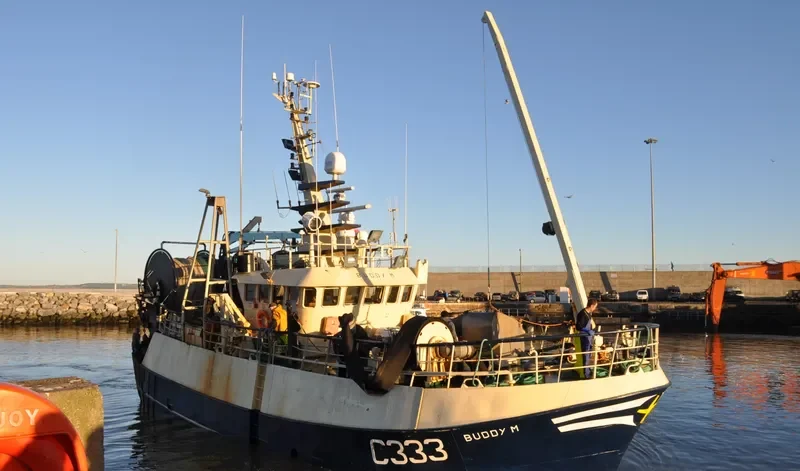 BUDDY M General Cargo IMO 9299240 photo 6