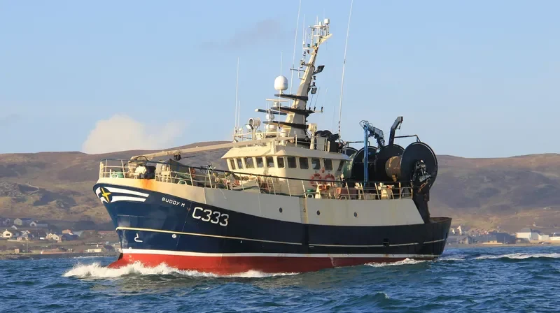 BUDDY M General Cargo IMO 9299240 photo 7