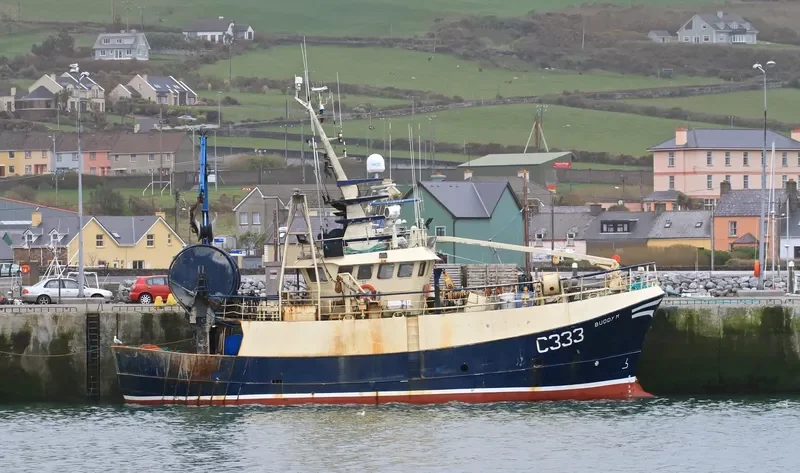 BUDDY M General Cargo IMO 9299240 photo 9
