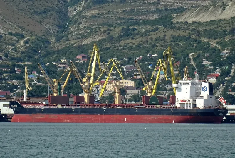 SPAR VIRGO Bulk Carrier IMO 9299276 photo 4