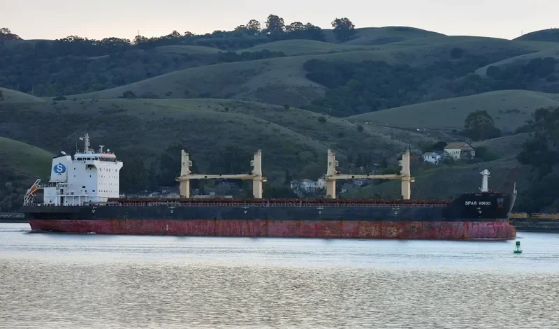 SPAR VIRGO Bulk Carrier IMO 9299276 photo 8