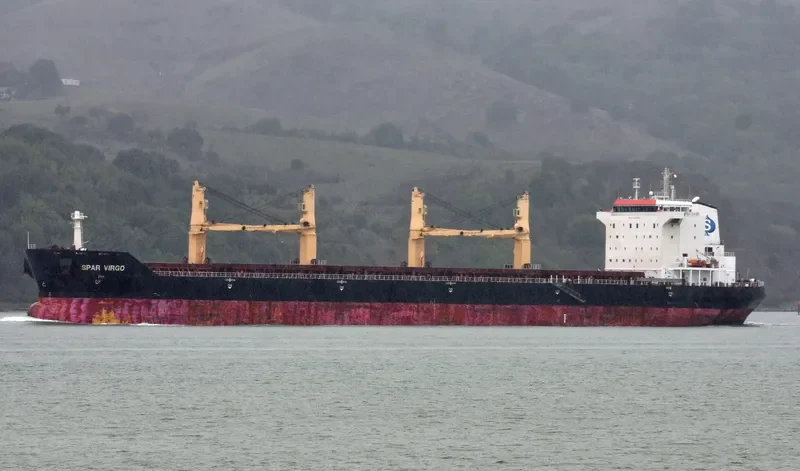 SPAR VIRGO Bulk Carrier IMO 9299276 photo 9