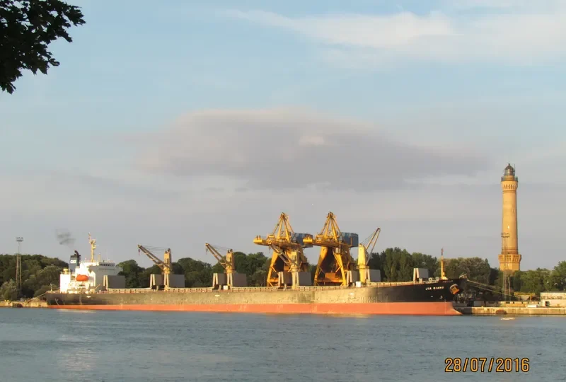 SPAR TAURUS Bulk Carrier IMO 9299288 photo 5