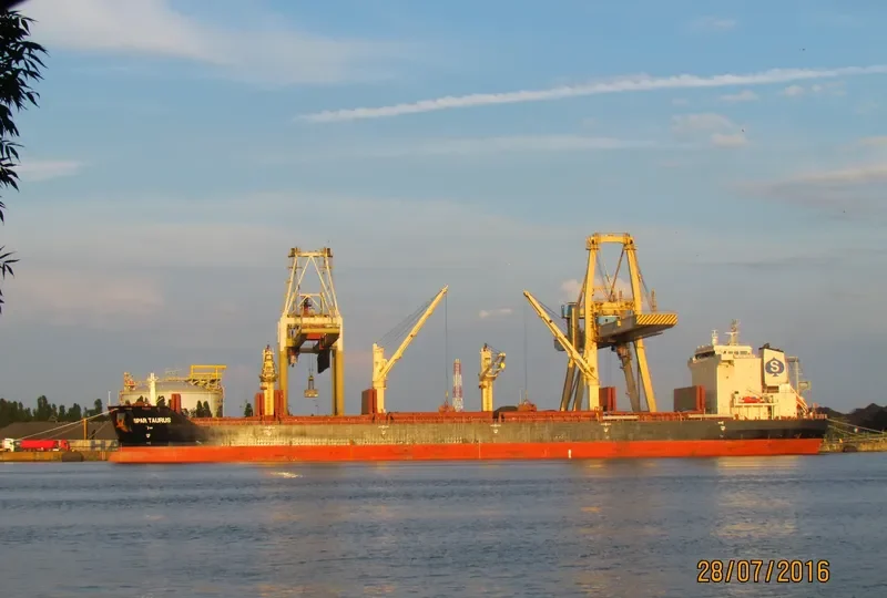 SPAR TAURUS Bulk Carrier IMO 9299288 photo 6