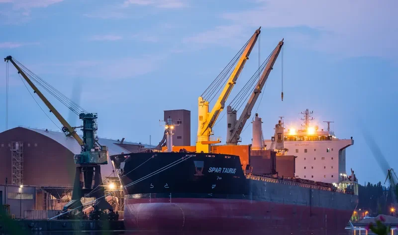 SPAR TAURUS Bulk Carrier IMO 9299288 photo 7