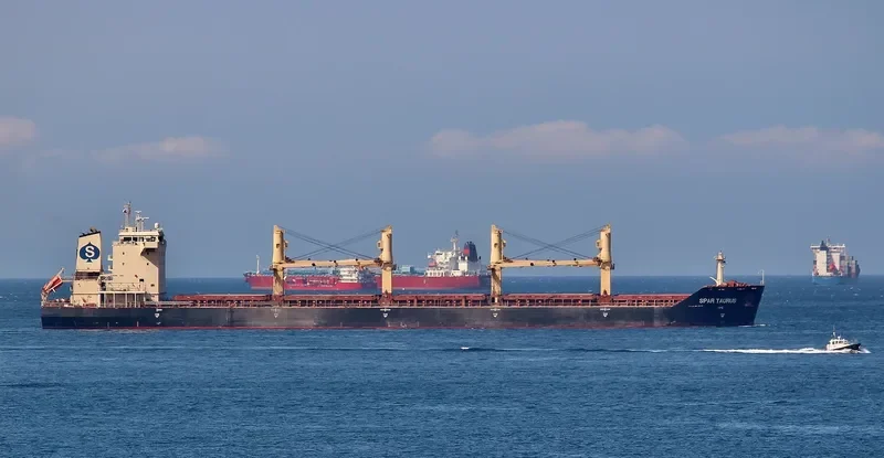 SPAR TAURUS Bulk Carrier IMO 9299288 photo 8
