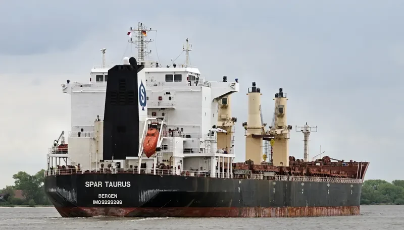 SPAR TAURUS Bulk Carrier IMO 9299288 photo 10