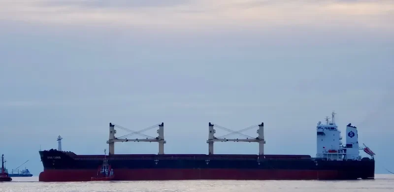 SPAR CANIS Bulk Carrier IMO 9299290 photo 2