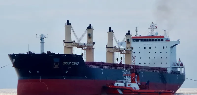 SPAR CANIS Bulk Carrier IMO 9299290 photo 3