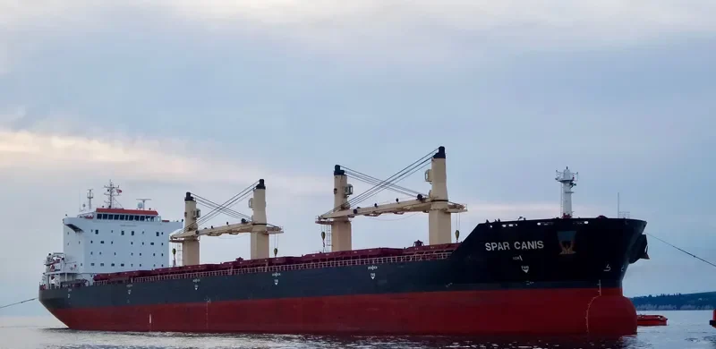 SPAR CANIS Bulk Carrier IMO 9299290 photo 4