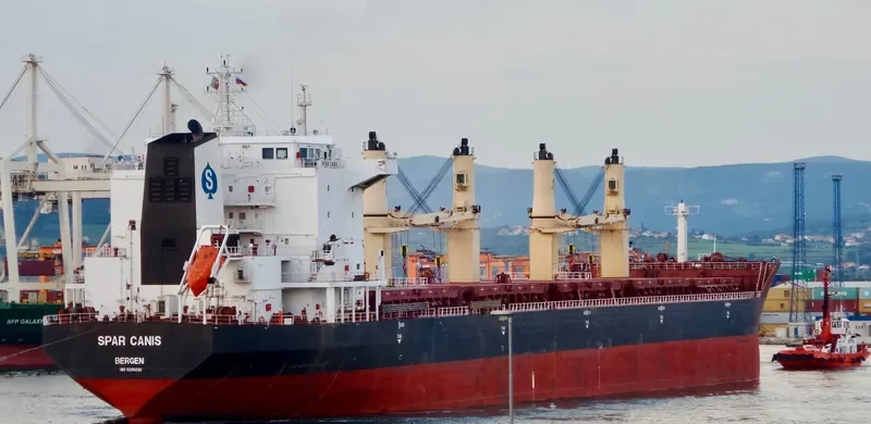 SPAR CANIS Bulk Carrier IMO 9299290 photo 5