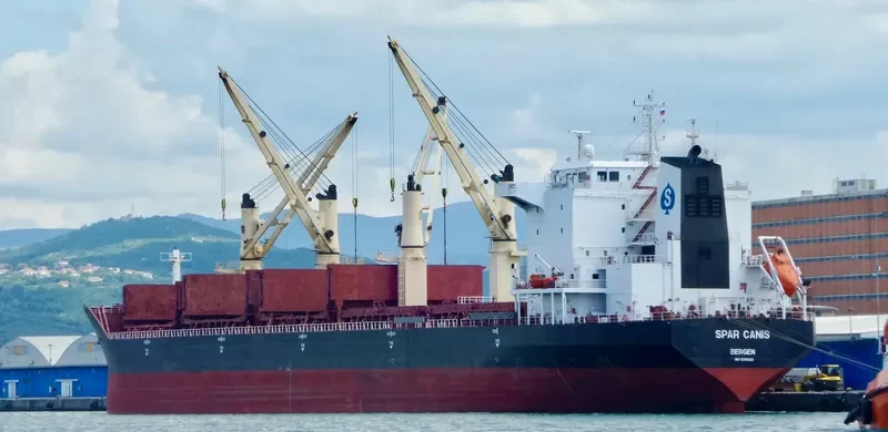 SPAR CANIS Bulk Carrier IMO 9299290 photo 6