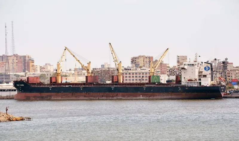 SPAR CANIS Bulk Carrier IMO 9299290 photo 7