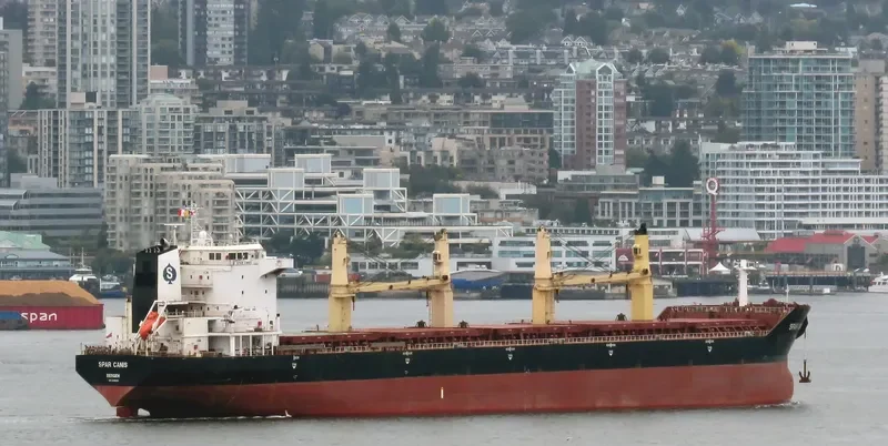 SPAR CANIS Bulk Carrier IMO 9299290 photo 8