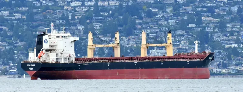 SPAR CANIS Bulk Carrier IMO 9299290 photo 9