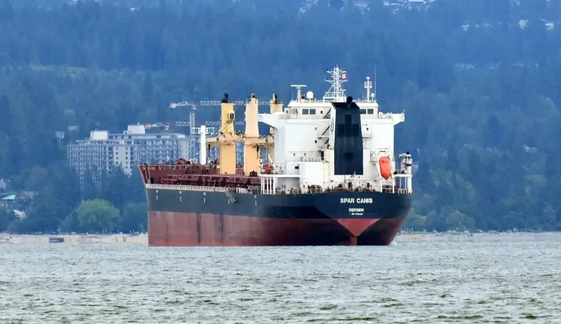 SPAR CANIS Bulk Carrier IMO 9299290 photo 10