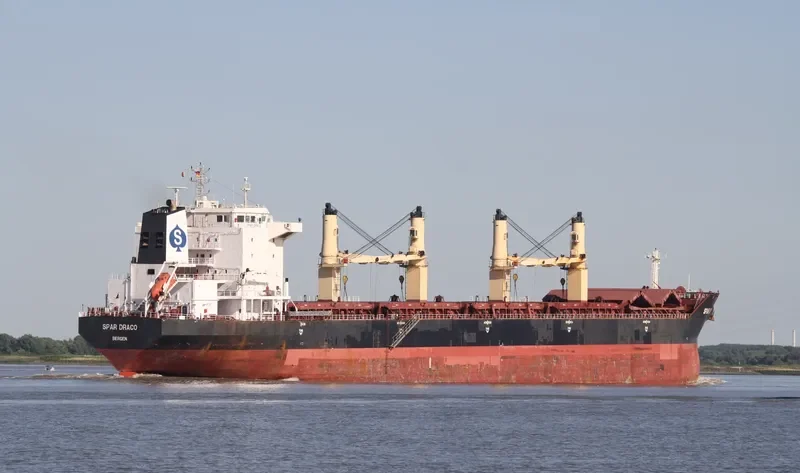 LIANSON DYNAMIC Bulk Carrier IMO 9299305 photo 4