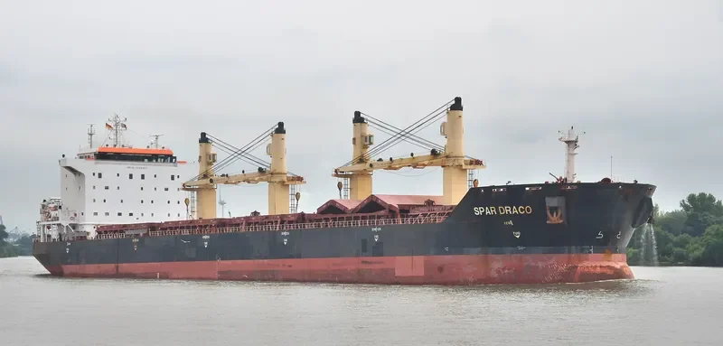 LIANSON DYNAMIC Bulk Carrier IMO 9299305 photo 7