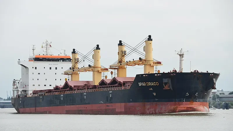LIANSON DYNAMIC Bulk Carrier IMO 9299305 photo 8