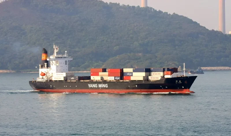 YM HAWK Container Ship IMO 9299317 photo 3