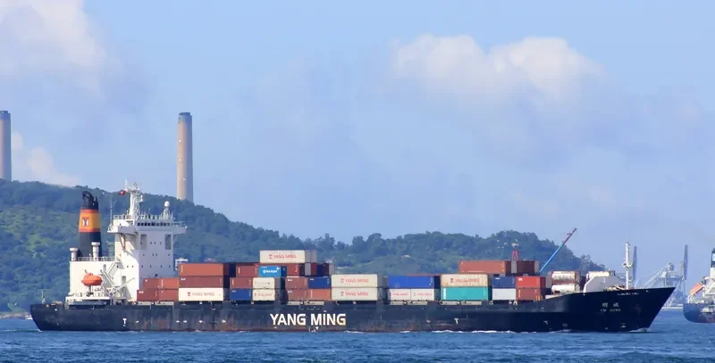 YM HAWK Container Ship IMO 9299317 photo 5