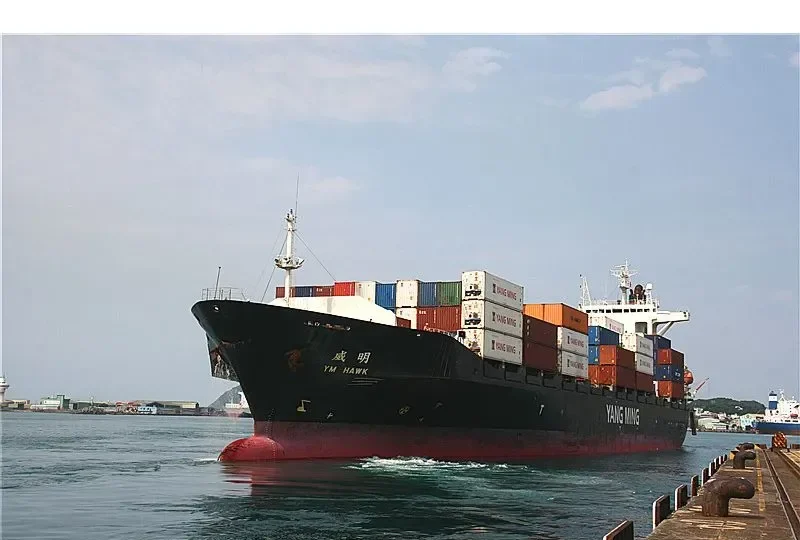 YM HAWK Container Ship IMO 9299317 photo 7
