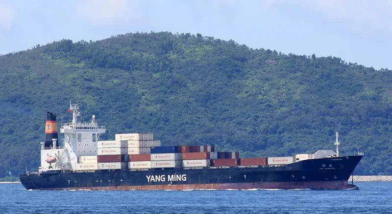 YM HARMONY Container Ship IMO 9299329 photo 8