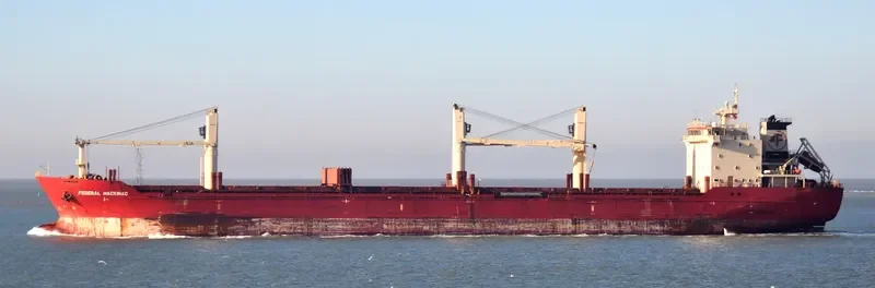 FEDERAL MACKINAC Bulk Carrier IMO 9299460 photo 3