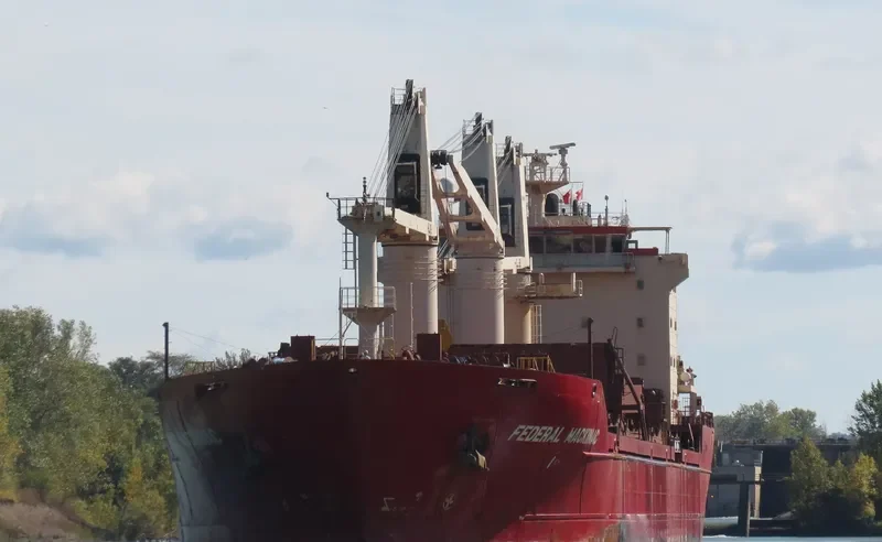 FEDERAL MACKINAC Bulk Carrier IMO 9299460 photo 8