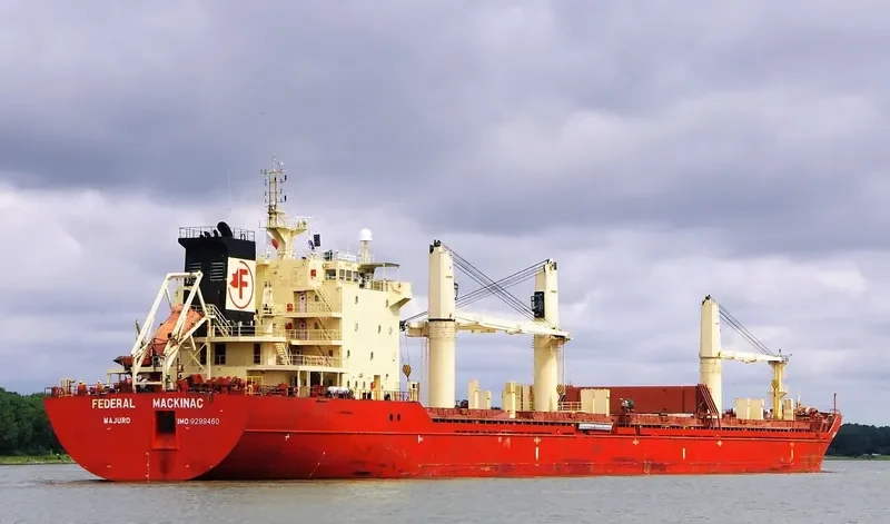 FEDERAL MACKINAC Bulk Carrier IMO 9299460 photo 10