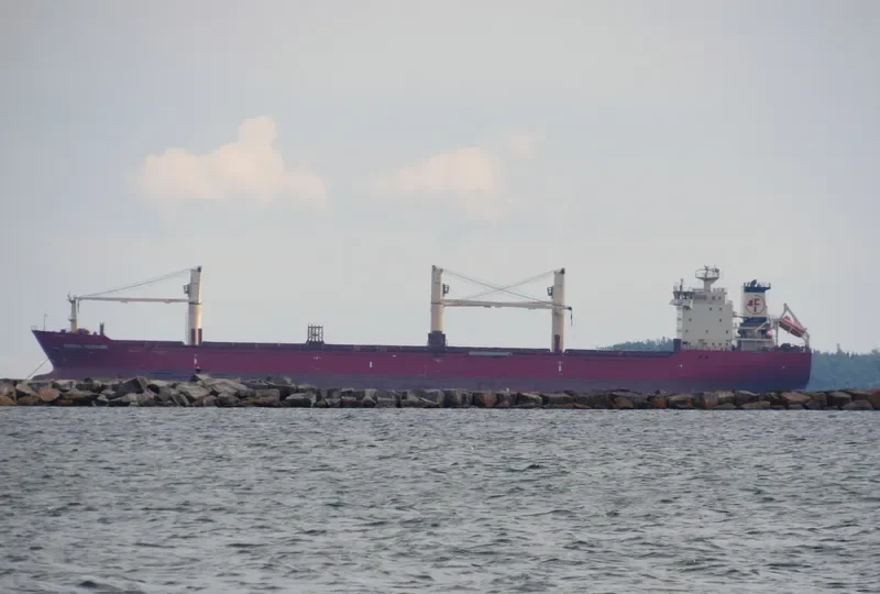 MERCURY J Bulk Carrier IMO 9299472 photo 2