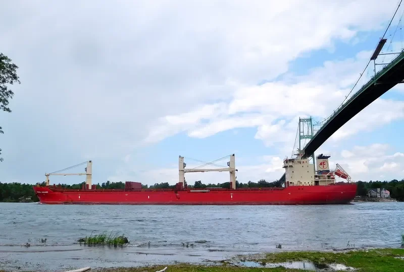 MERCURY J Bulk Carrier IMO 9299472 photo 3