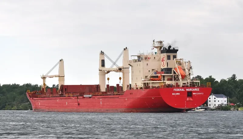 MERCURY J Bulk Carrier IMO 9299472 photo 4