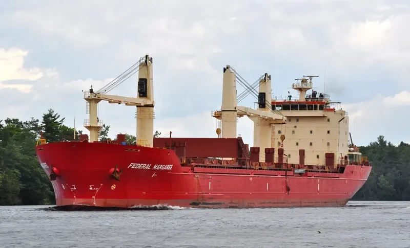 MERCURY J Bulk Carrier IMO 9299472 photo 5