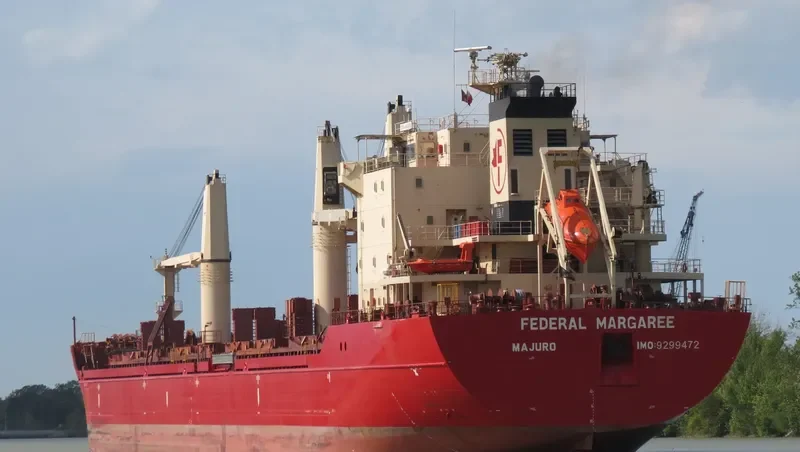 MERCURY J Bulk Carrier IMO 9299472 photo 6