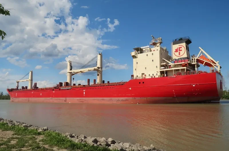 MERCURY J Bulk Carrier IMO 9299472 photo 7