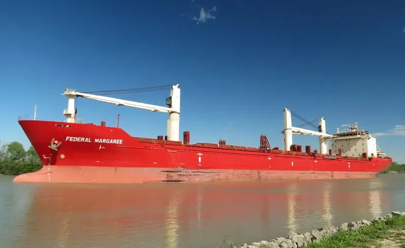 MERCURY J Bulk Carrier IMO 9299472 photo 8