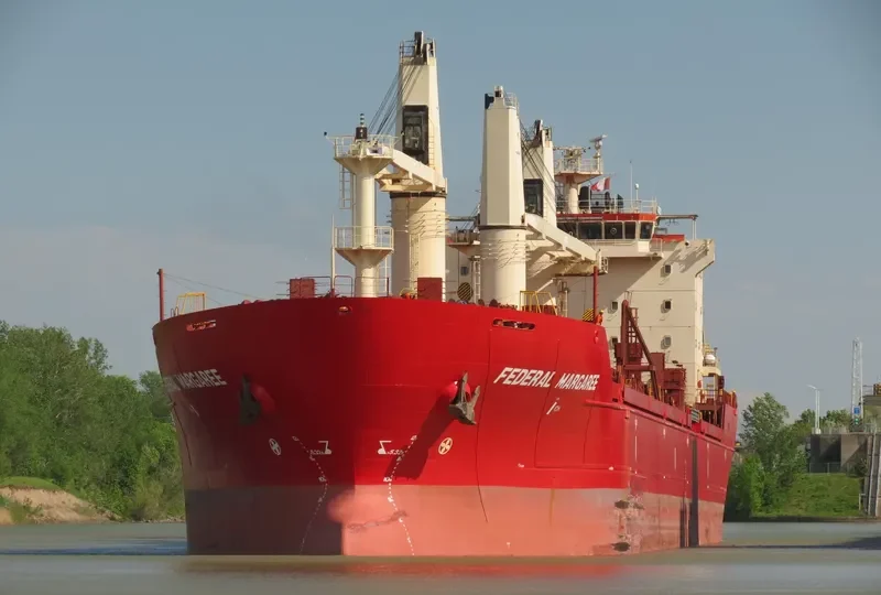 MERCURY J Bulk Carrier IMO 9299472 photo 9