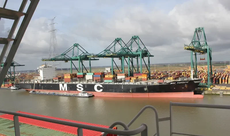 MSC TORONTO Container Ship IMO 9299525 photo 5