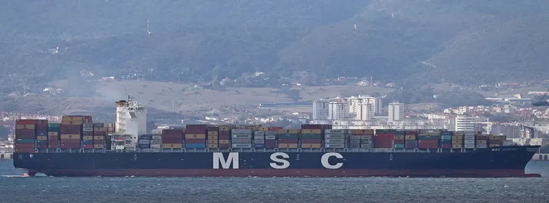 MSC JUDITH Container Ship IMO 9299549