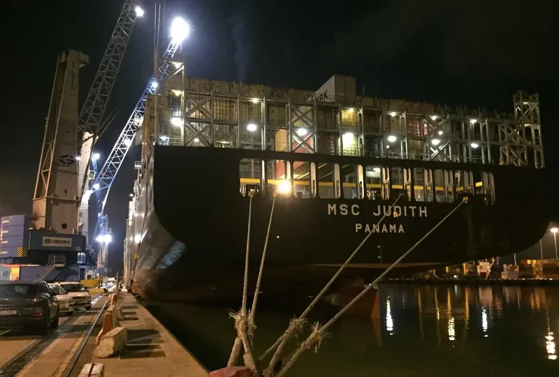 MSC JUDITH Container Ship IMO 9299549 photo 2