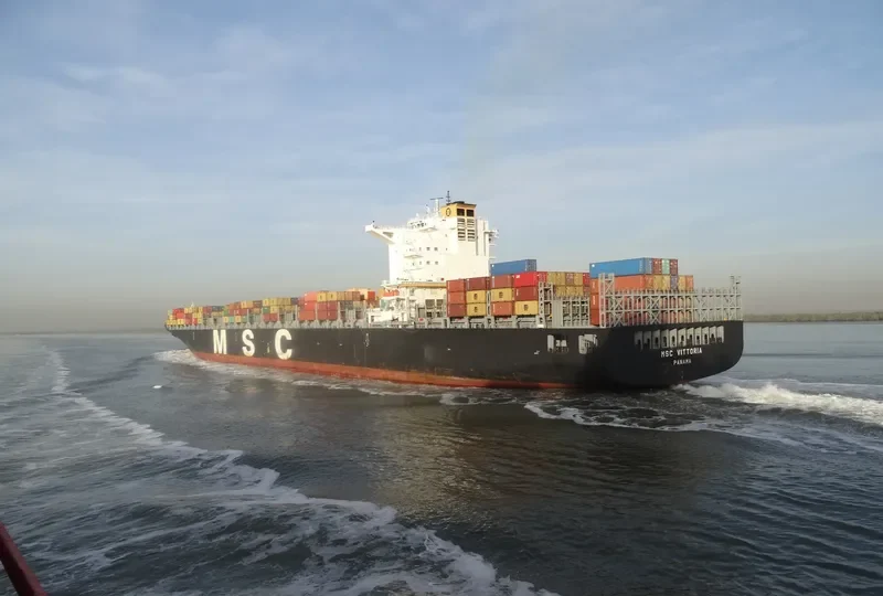MSC VITTORIA Container Ship IMO 9299551 photo 3