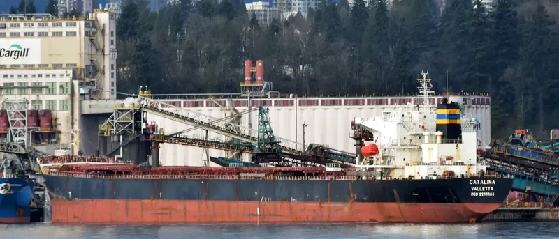 CATALINA Bulk Carrier IMO 9299604 photo 3