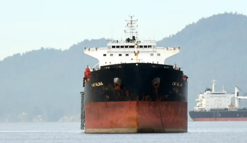 CATALINA Bulk Carrier IMO 9299604 photo 4