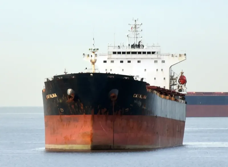 CATALINA Bulk Carrier IMO 9299604 photo 5