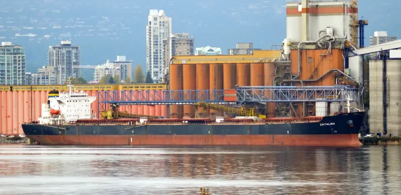 CATALINA Bulk Carrier IMO 9299604 photo 7