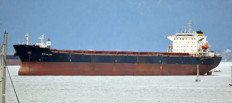 CATALINA Bulk Carrier IMO 9299604 photo 9